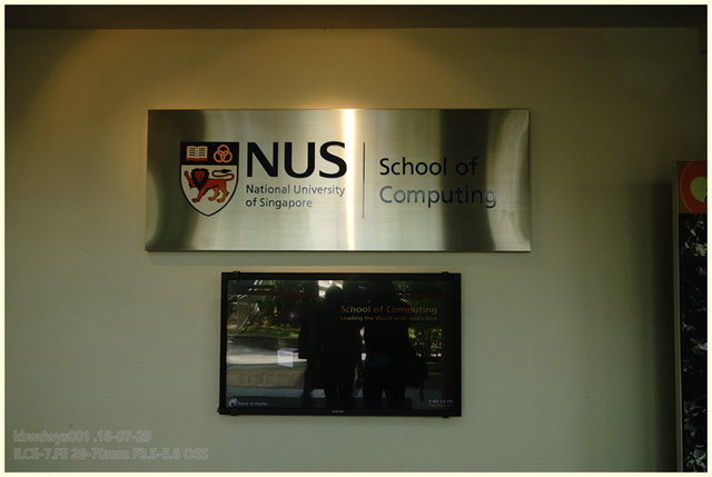 曾经大学30——新加坡国立大学（NUS）