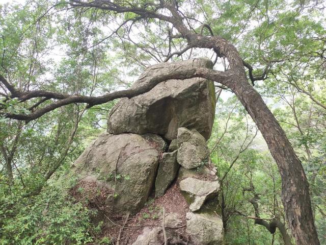 清源鼎峙，山秀庙古——泉州游记4