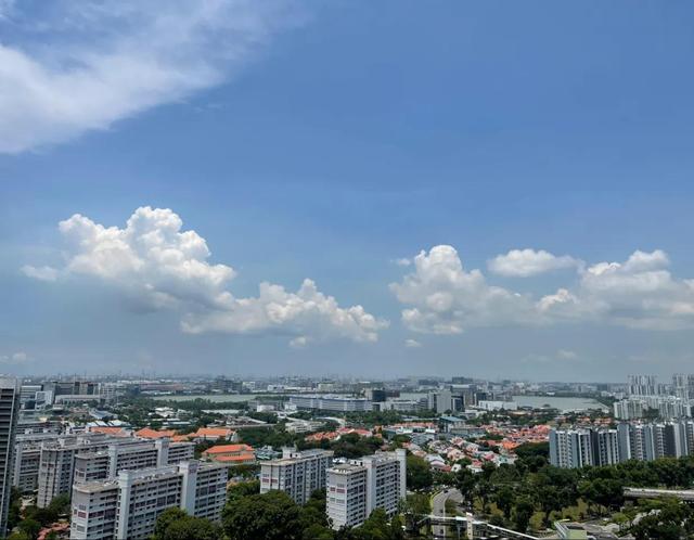 新加坡木工学徒：1