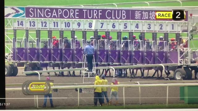 “骐骥之星”荣获2021年9月新加坡赛事1200米赛道冠军