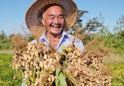 鲁花掌门人孙孟全，33岁创业，61岁身价百亿，中国花生产业第一人