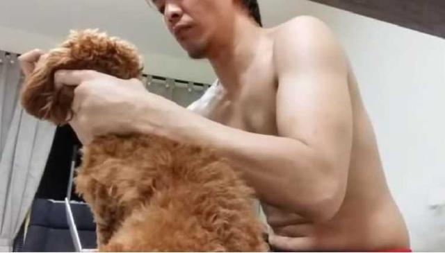 新加坡42岁男子虐狗拍视频，控方促判监8到12个月