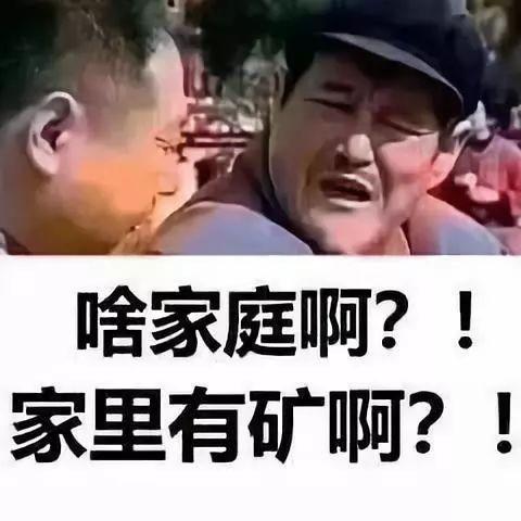 蒋卫平：中国锂王的进阶之路