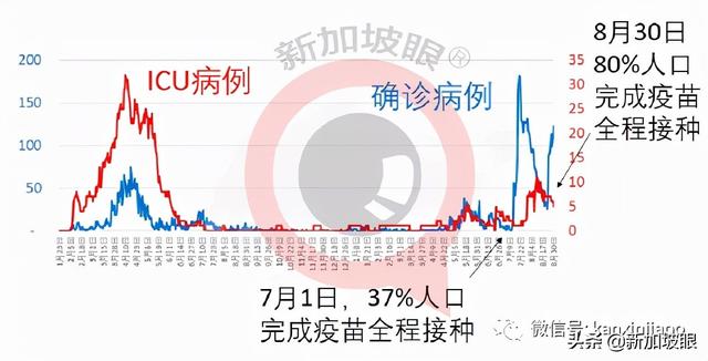 今增180 | 新加坡第三波社区疫情峰值未到 无关联病例日增500不意外