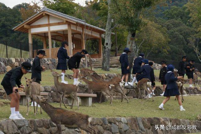 低欲望社会：为什么日本年轻人正逐渐丧失欲望