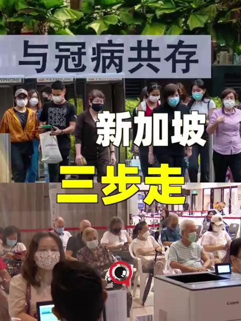 新加坡是怎么与冠病共存的？看这三步就知道了