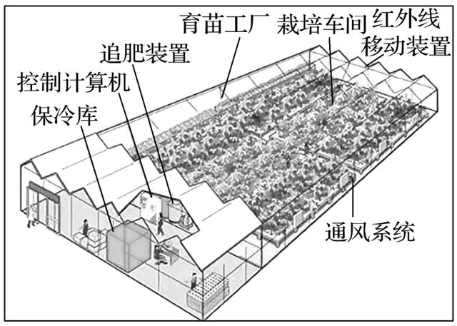 2022届高三一轮专题复习训练56：特色农业专题训练