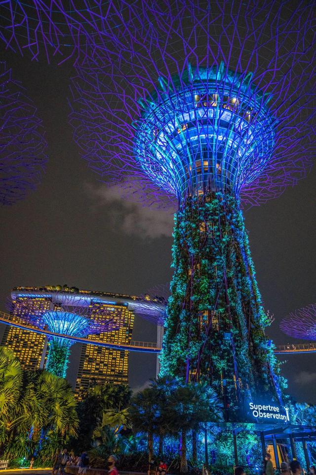 夜游新加坡滨海湾花园