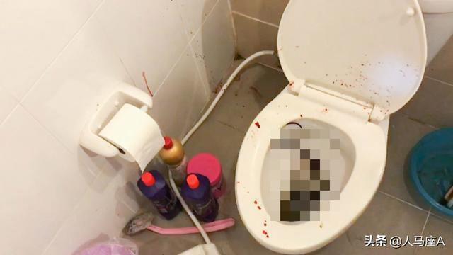 防不胜防！男子在家中如厕被蛇咬中下体，抽水马桶里会钻出蛇吗？