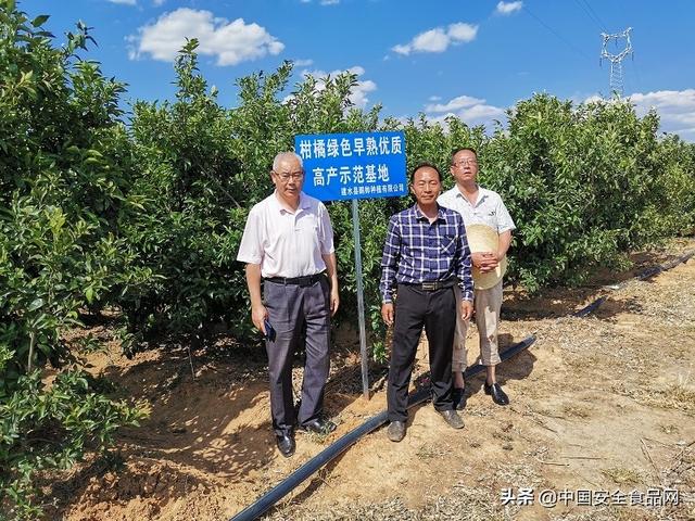 从“新型职业农民”到产业振兴“领头雁”回乡大学生带动高原特色优质早熟柑橘产业创新发展
