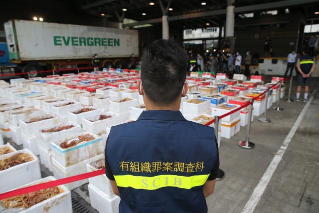 香港海关：市值约350万元澳走私龙虾被查获，将运往内地