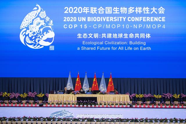 外媒：COP15彰显生态文明理念 中国为世界提供有益经验
