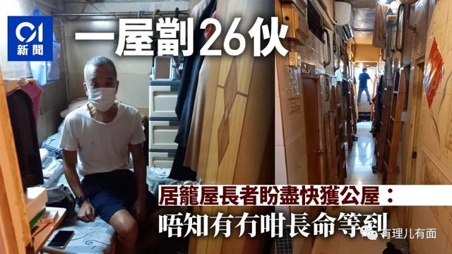 香港垄断资本与野猪佩奇爱自由