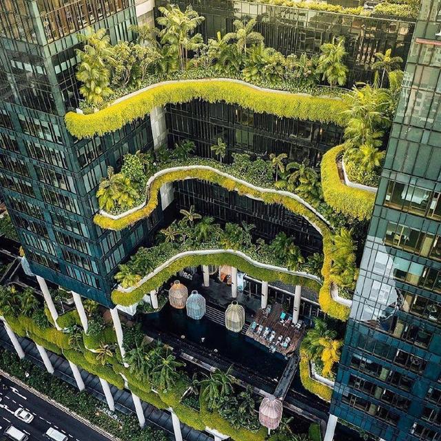 新加坡建筑，附带自然与现代的结合