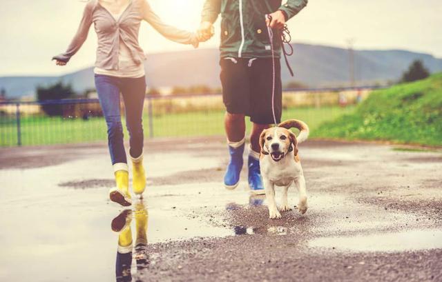 各国出现过哪些奇特的法律规定（一）