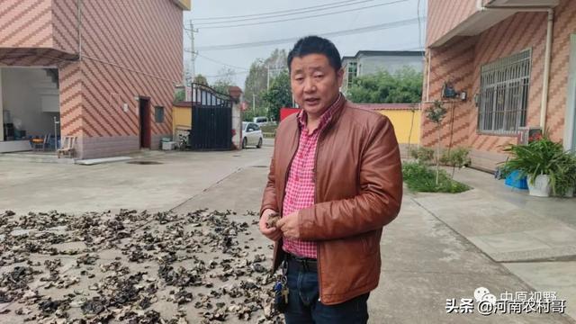 鲁山一农民把香菇和木耳卖到了日本和美国