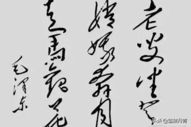 毛主席送给尼克松12字墨宝，尼克松看后一头雾水，近50年无人理解