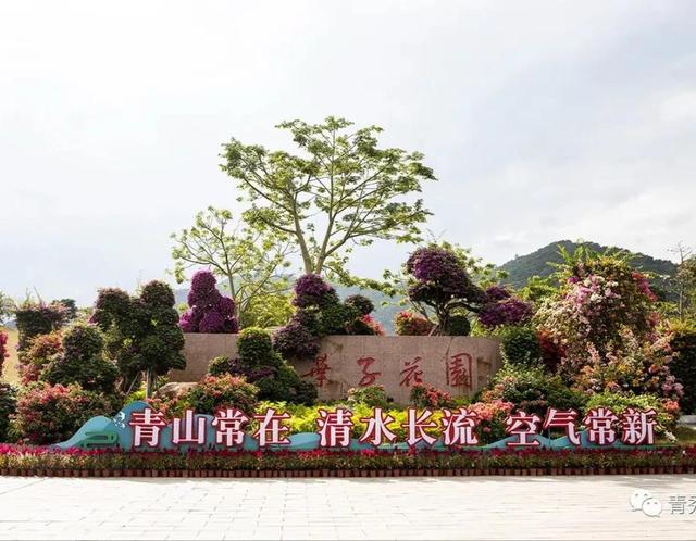 青秀山植物认知之乐｜叶子花：似花还似非花