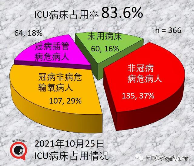 新加坡进一步敞开，入境免隔离名单扩大，今夜起对印度等开放