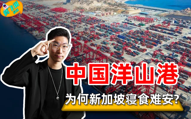 全球航运大洗牌，中国建“洋山港”消息，为何让新加坡寝食难安？