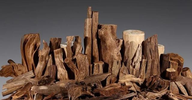 为何沉香如此昂贵稀有？让我们了解了解