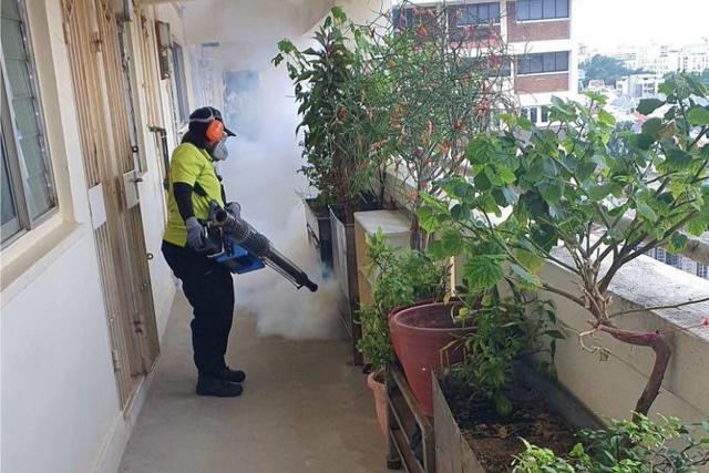 警惕！新加坡登革热病例增多，发现罕见第三型病毒
