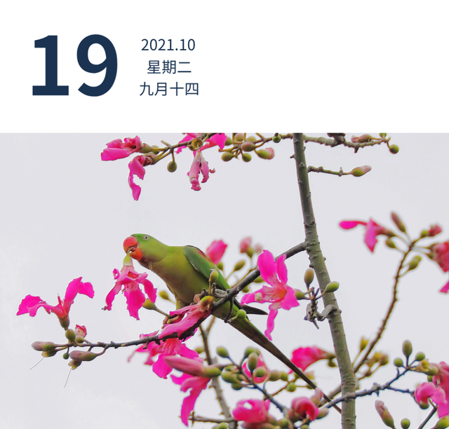 谨防被骗！这些非法社会组织被取缔 | 早安广东