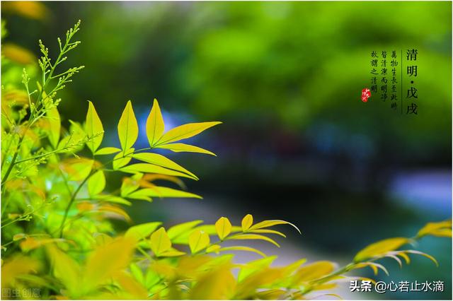 清明 时节雨纷纷