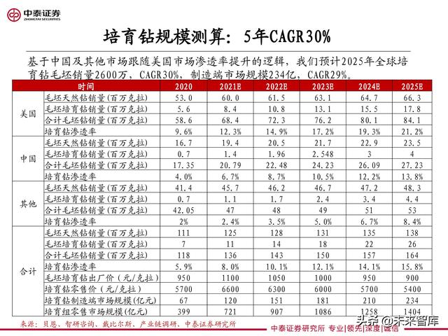 培育钻石行业分析：聚焦盈利与成长