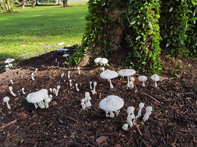 生活即变化，人生如旅程，珍惜当下，过好每一天