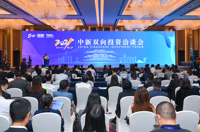 中新双向投资洽谈会成功举办，一批项目重磅签约！
