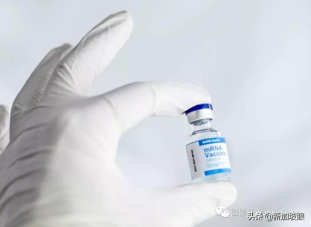 “打了第三针辉瑞疫苗，可能出现这些副作用”新加坡教师亲历分享
