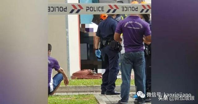 脑袋绞进垃圾捣碎机，新加坡清洁工惨死组屋楼下