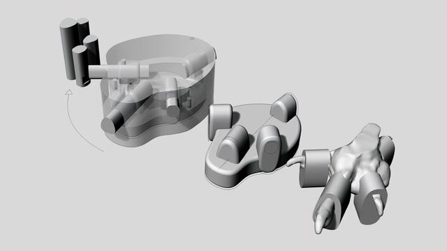 脑洞大开！用3D打印技术制作“鸟鞋”，让飞禽免受足部疾病影响