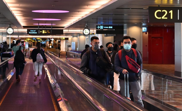 新加坡回国航班连遭熔断、一地四个月无回国机票