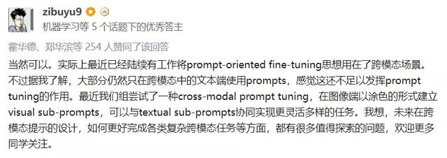 NLP大火的prompt能用到其他领域吗？清华孙茂松组的 CPT 了解一下