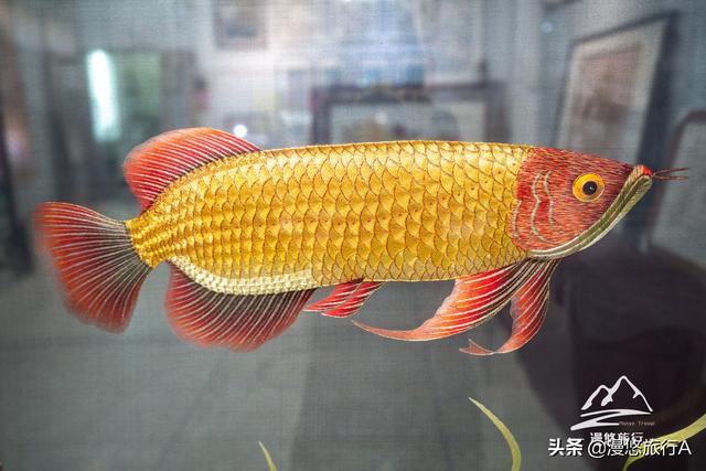 潮州刺绣有多美？游客说像浮雕一样立体好看