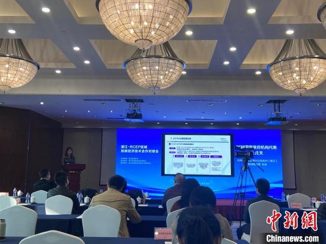 聚焦“双碳”经济 浙江与RCEP区域共觅技术合作新机