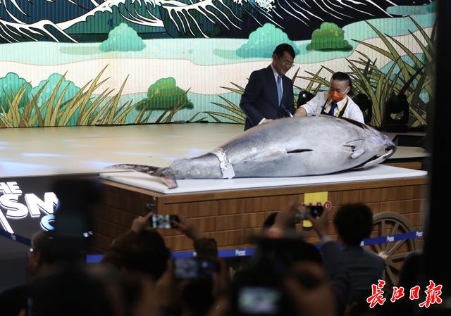 353公斤金枪鱼亮相“舌尖上的进博会”