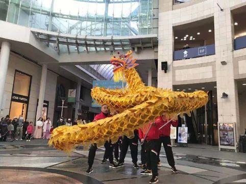 一树花开两地芳丨青云谱“城南龙灯”在日本高松市交流展演