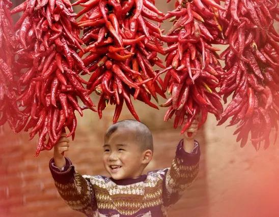 科普：你喜欢的辣椒、除了辣还有什么？