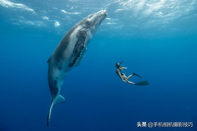 聊一张刷爆网络的照片：它背后的来源应该被更多人知道