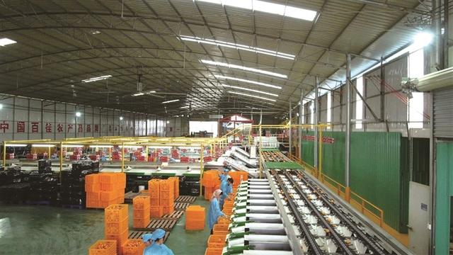 广西构建现代农业全产业链发展模式—— 奏响现代农业高质量发展新乐章
