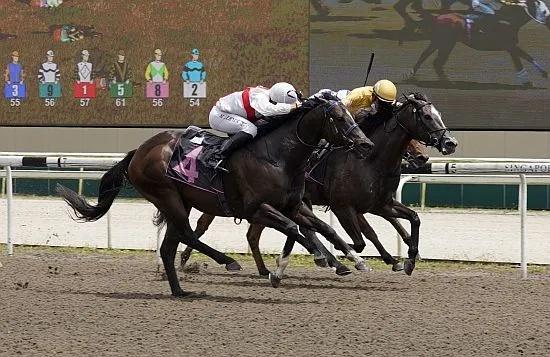 赛马邮报亚洲赛马新闻：新加坡9岁赛马为练马师瑞尔士再争一口气