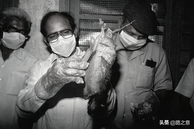 94年鼠疫肆虐印度：4天50万人逃离，追其原因还是环境卫生太差