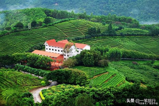 为何广东的客家地区经济都不发达？是巧合，还是客家人只会死读书