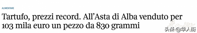 一年一度的意大利阿尔巴白松露拍卖会上，中国富商摘得“露王”