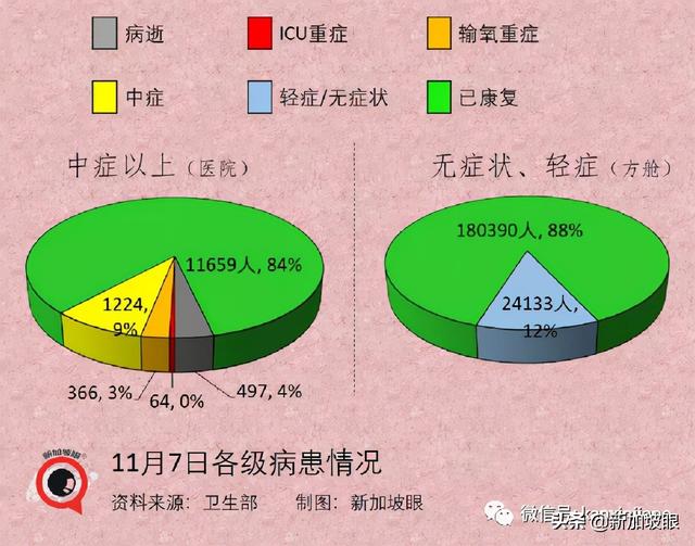 政府调整37个国家与地区的冠病风险级别，进入新加坡更容易了