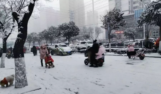 今日立冬，山东将迎今冬初雪