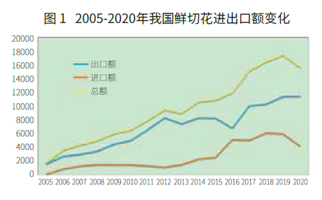 从海关数据看我国鲜切花进出口市场变化 |“花卉进出口”专题